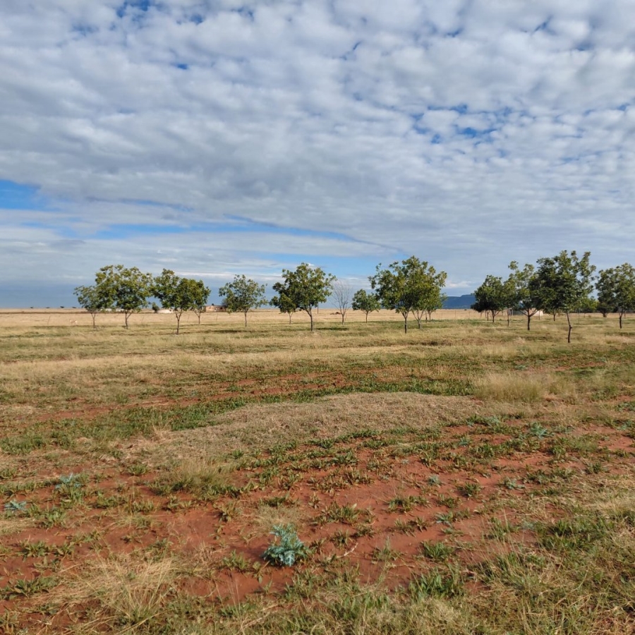 Commercial Property for Sale in Bloemfontein Rural Free State